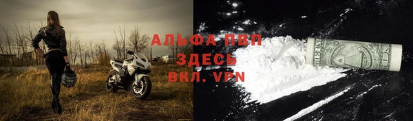 apvp Магадан
