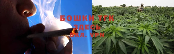 гашик Медногорск