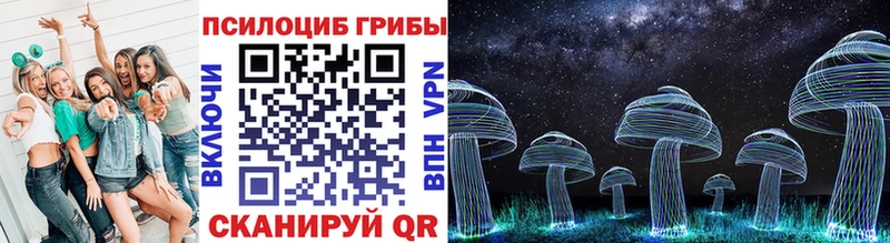 Псилоцибиновые грибы Magic Shrooms  Купить  Бобров 